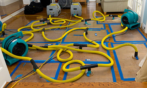 Professional Water Damage Restoration technician working in Pensacola, FL